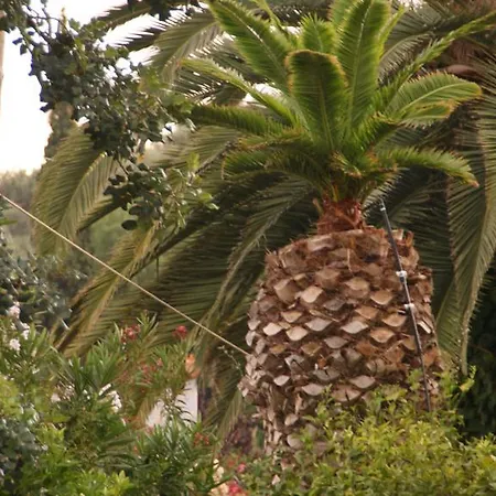 Christina טולון