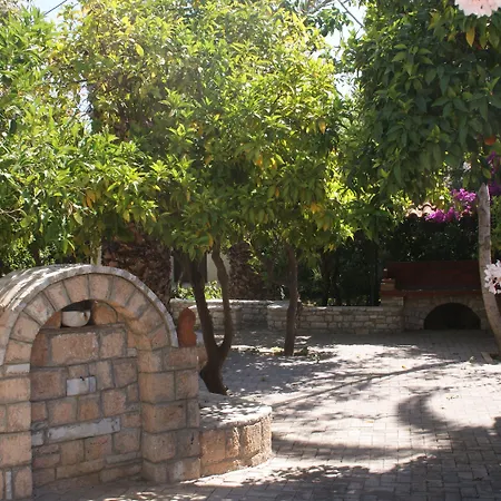 Christina * Τολό