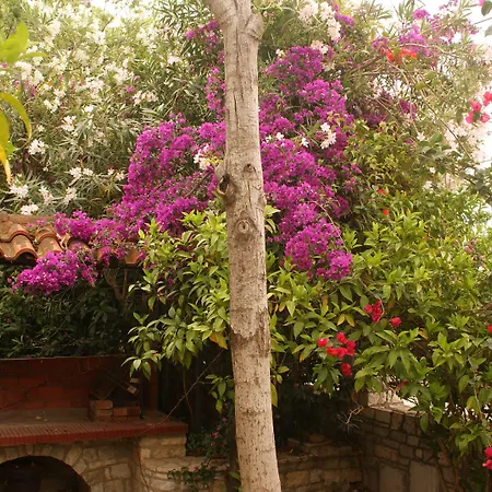 Christina Διαμέρισμα Τολό