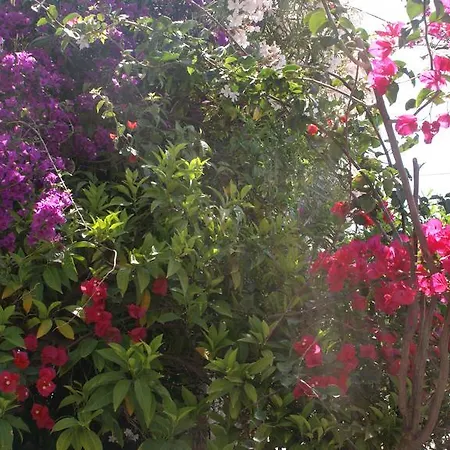 Διαμέρισμα Christina