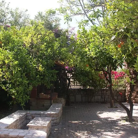 Christina Τολό