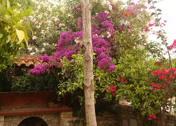 Christina Apartamento Tolón