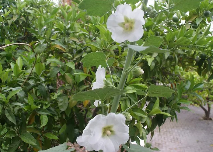 Apartamento Christina *