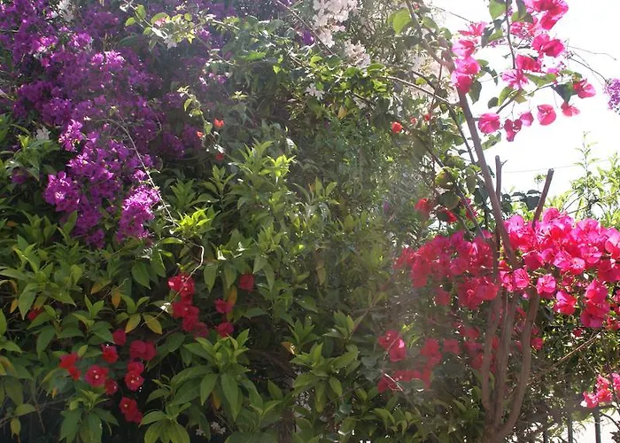 Apartamento Christina