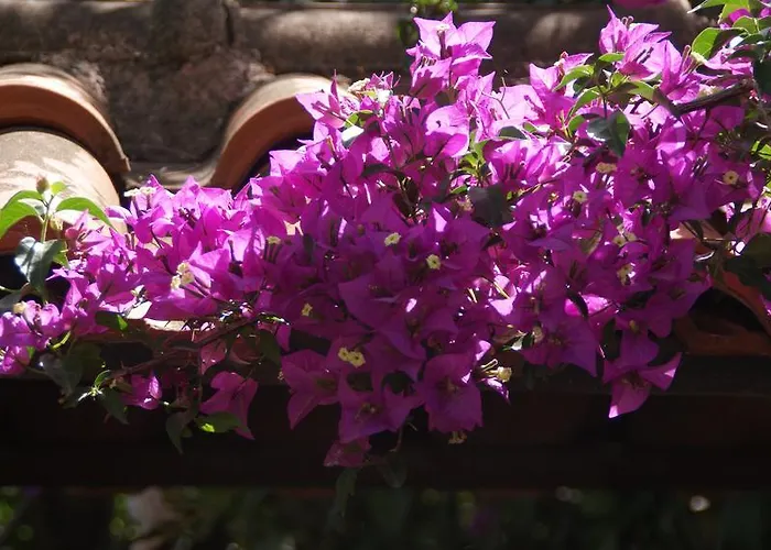 Apartamento Christina Tolón